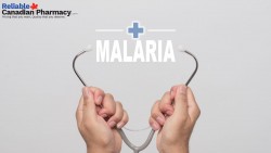 One stop solution to cure Malaria