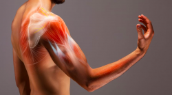 What is muscle spasticity?