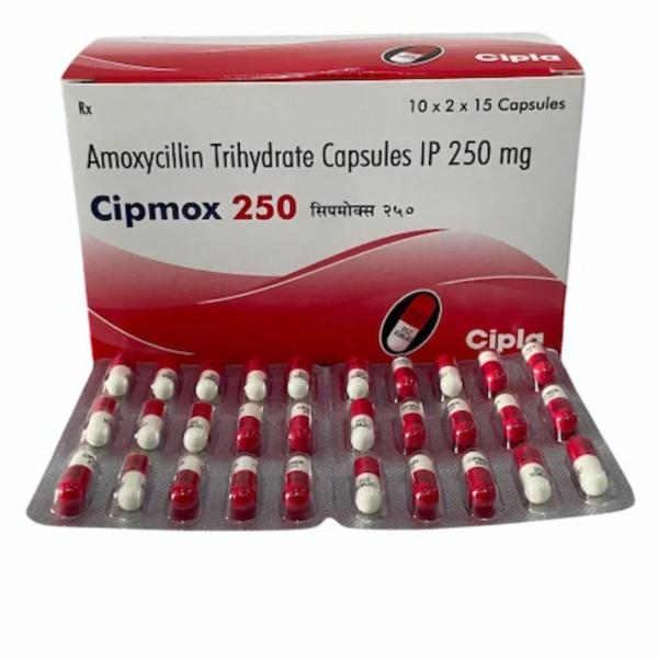 Box and Blister of generic amoxicillin 250mg capsule