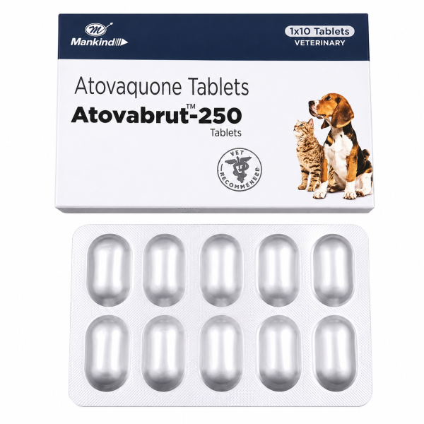 A pack and a strip of Mepron 250mg Generic Tablets
