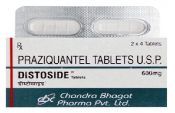 1 Box of Praziquantel 600mg and 4 pills.