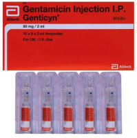 Garamycin Generic 80mg Injection (2ml Vial)