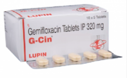 A box and a blister of Factive Generic 320 mg Pill